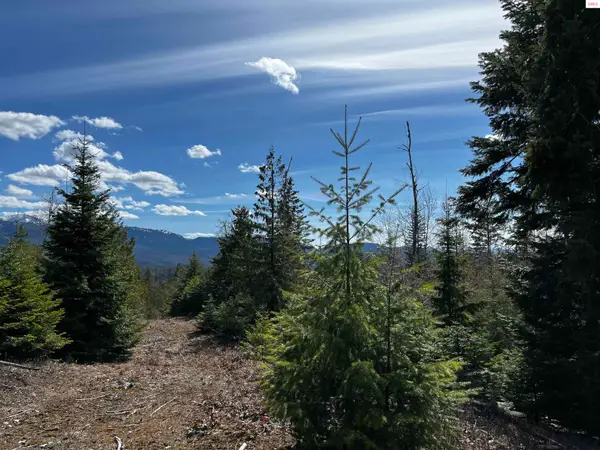 NNA Cohage Road, Sandpoint, ID 83864