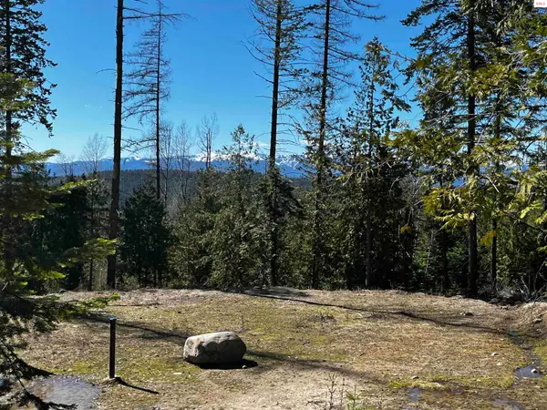 NNA Cohage Road (10), Sandpoint, ID 83864