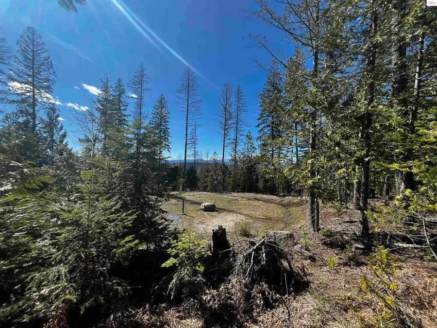 NNA Cohage Road (10), Sandpoint, ID 83864 - #3