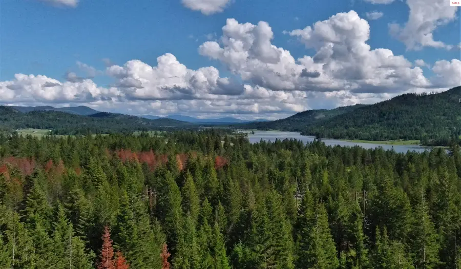 127 Lions Rd, Priest River, ID 83856 - #2