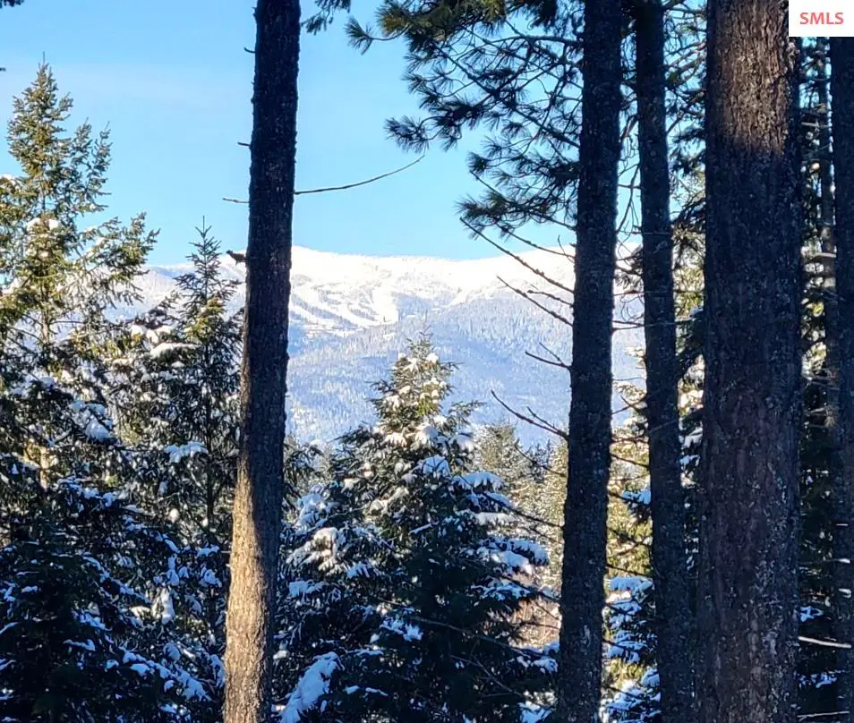 NNA Wildflower Way Blk 3 Lot 9, Sandpoint, ID 83864 - #1