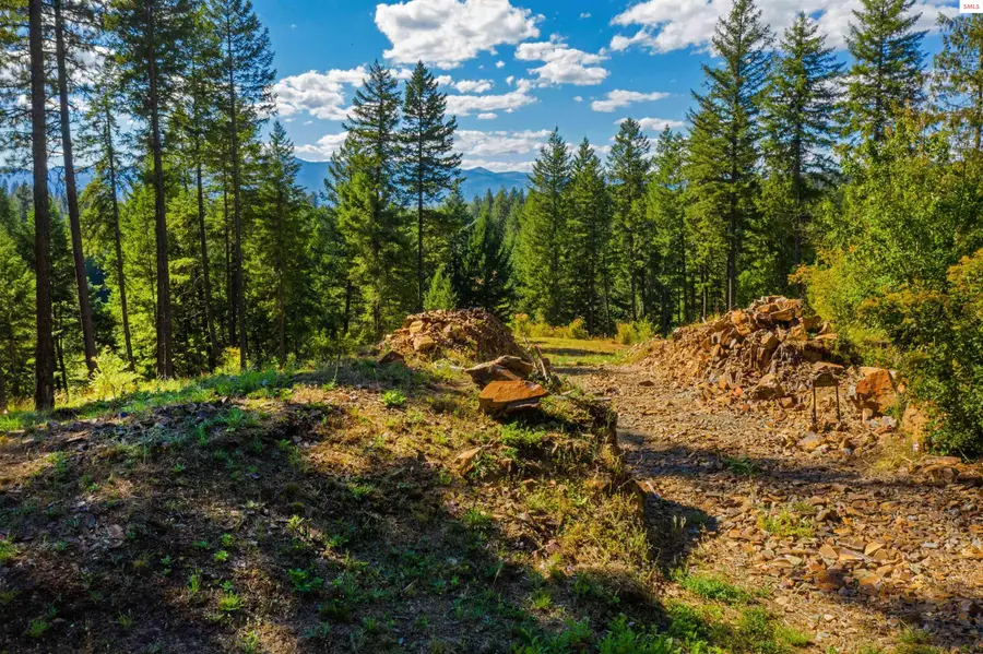 NNA Wildflower Way Blk 3 Lot 9, Sandpoint, ID 83864 - #2