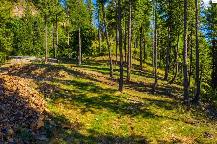 NNA Wildflower Way Blk 3 Lot 9, Sandpoint, ID 83864 - #3