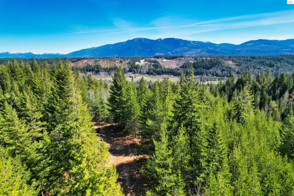 NNA 20 Acres Juniper Lane, Naples, ID 83847