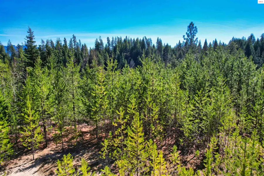 NNA 20 Acres Juniper Lane, Naples, ID 83847 - #3