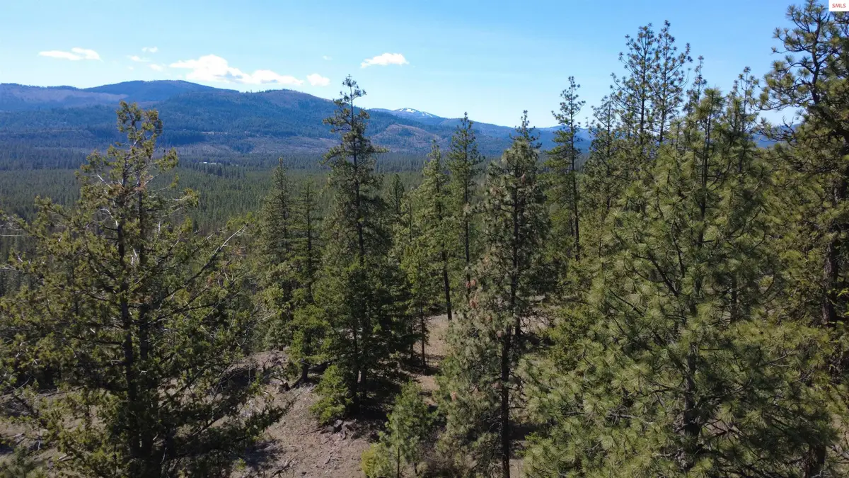 NNA Wolf Lodge Trail, Blanchard, ID 83804 - #1