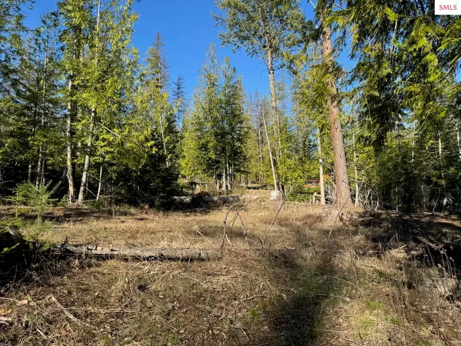 NNA W Pine - Lot 2, Sandpoint, ID 83864 - #2
