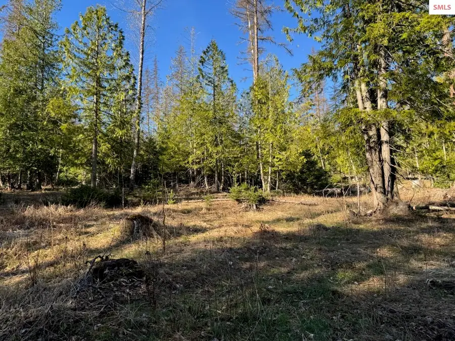 NNA W Pine - Lot 2, Sandpoint, ID 83864 - #3