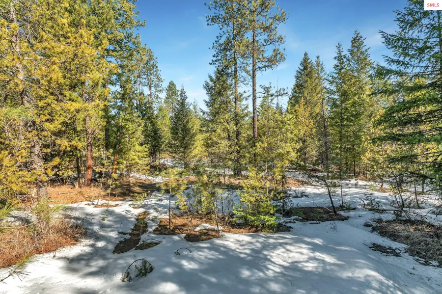 NKA Lot 1 Everett Huff Rd., Oldtown, ID 83822 - #3