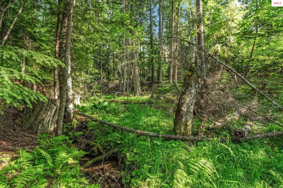 245 Barbary Trail, Sandpoint, ID 83864 - #3