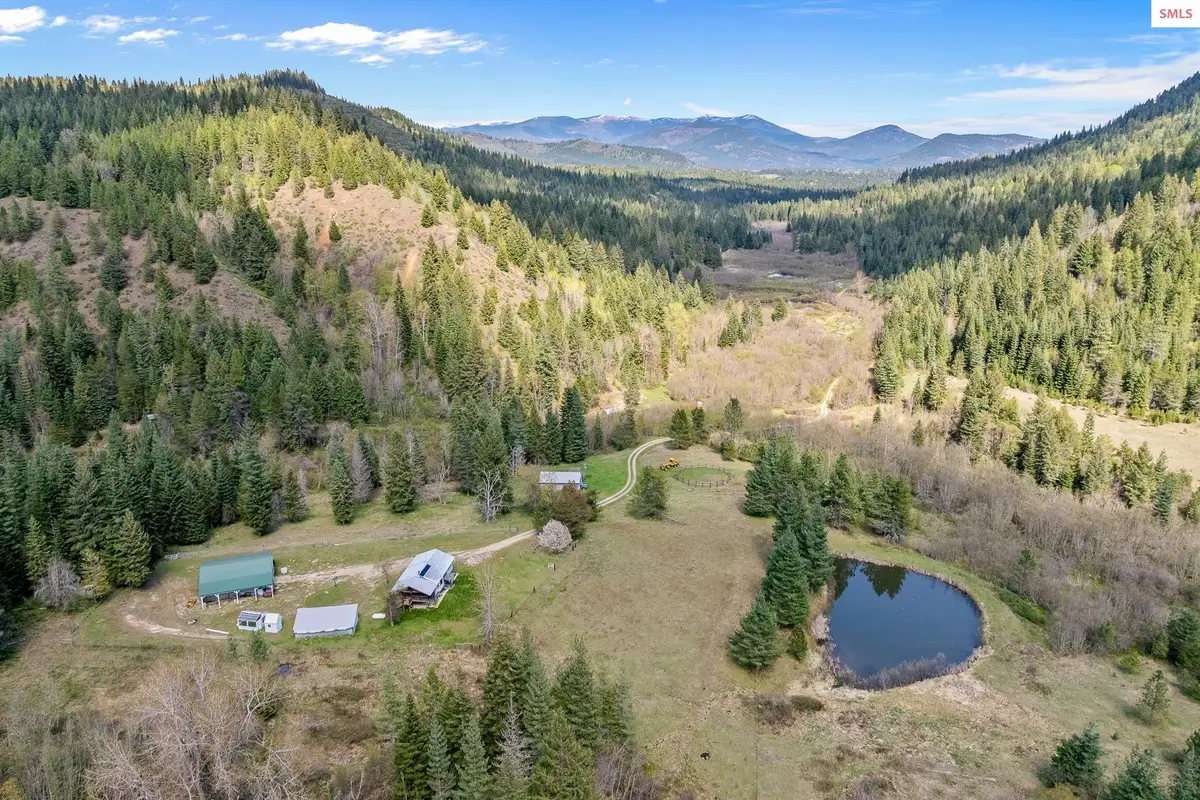 1791 Pup Paw Trail, Priest River, ID 83856 - #1