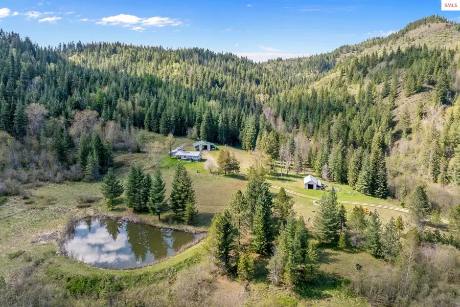 1791 Pup Paw Trail, Priest River, ID 83856 - #2