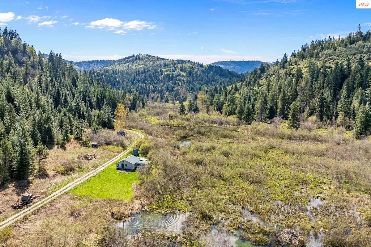 1791 Pup Paw Trail, Priest River, ID 83856 - #1