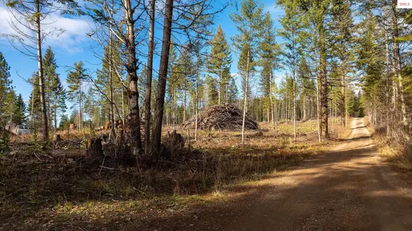 773 Cougar Loop, Clark Fork, ID 83811