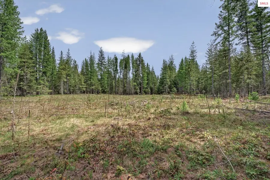 NNA (Tract 1) Lost Mile Rd., Bonners Ferry, ID 83805 - #3