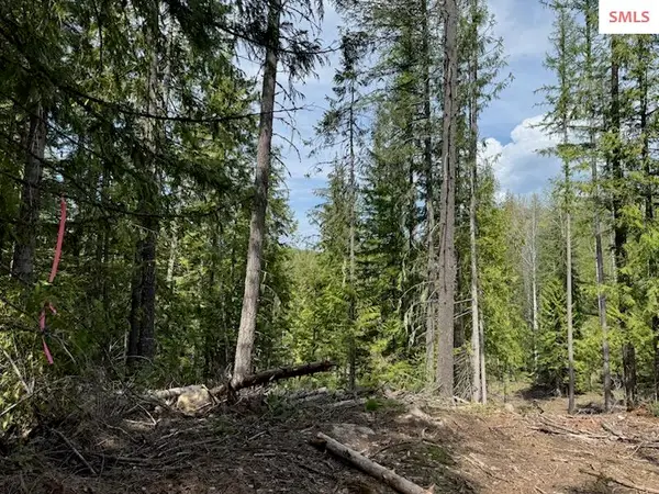 NNA Raven Ridge - 20 Acres, Sandpoint, ID 83864
