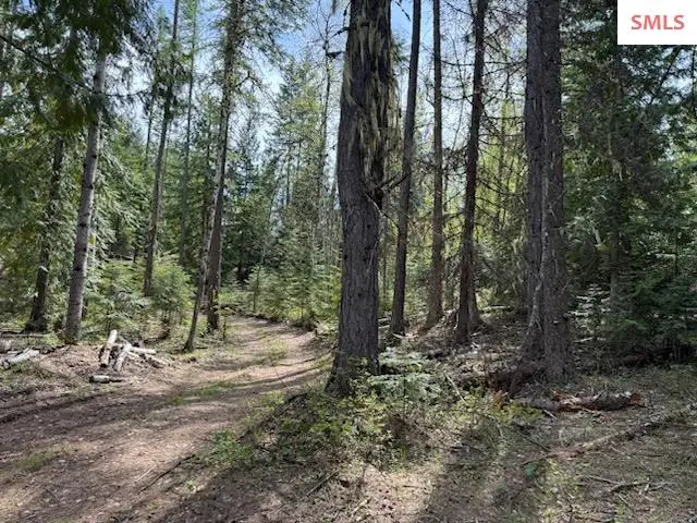 NNA Raven Ridge - 20 Acres, Sandpoint, ID 83864 - #2