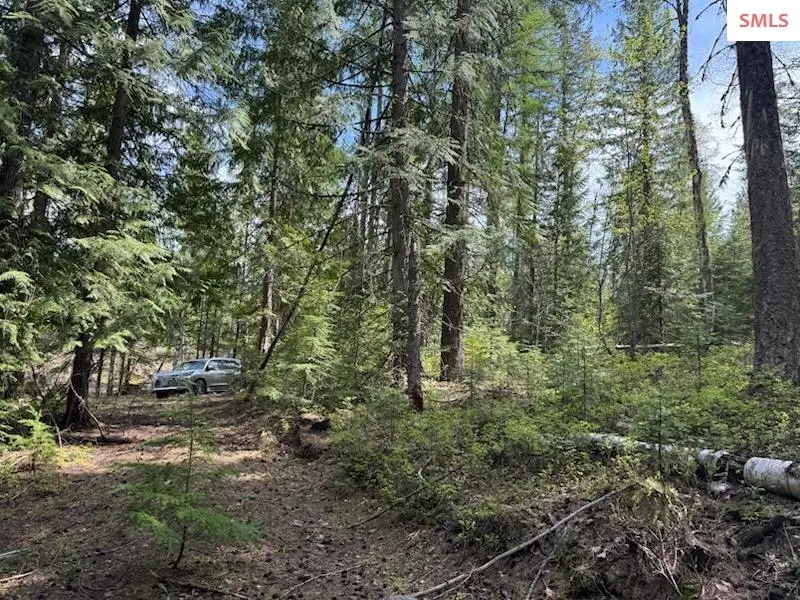 NNA Raven Ridge - 20 Acres, Sandpoint, ID 83864 - #3