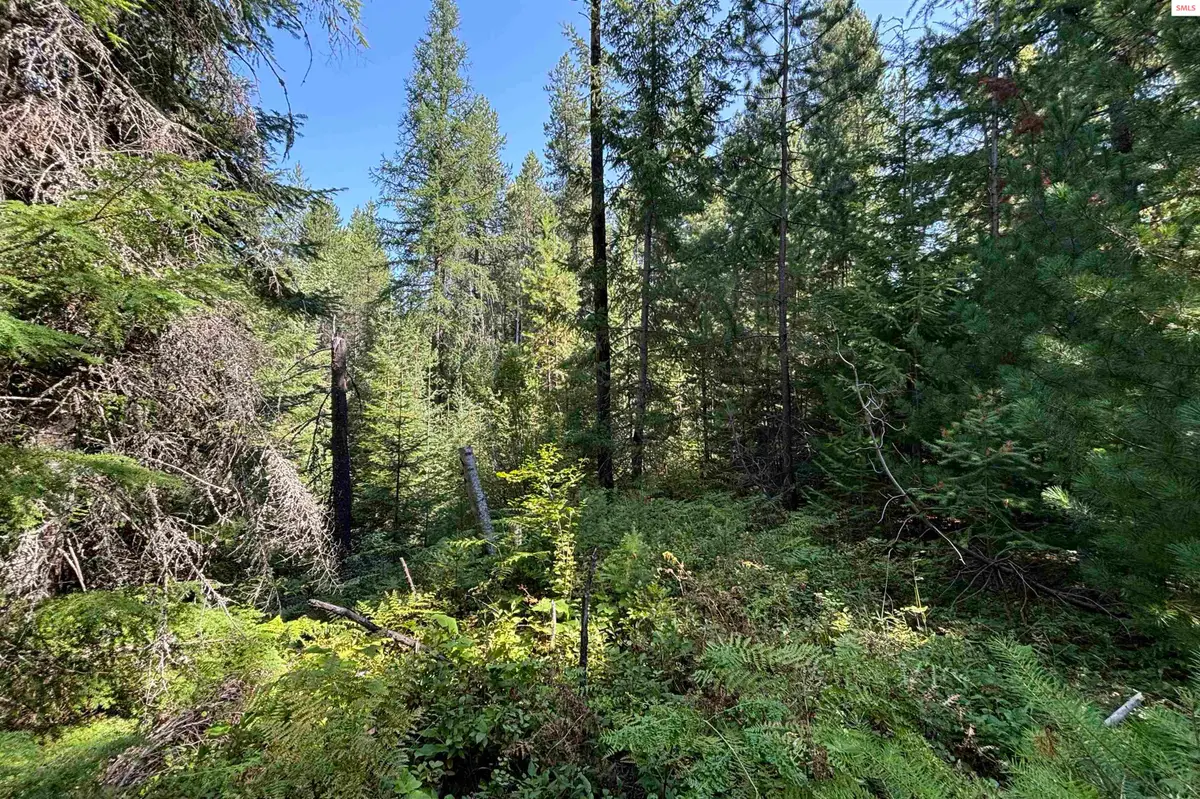 NNA Ridge Way, Sandpoint, ID 83864 - #1