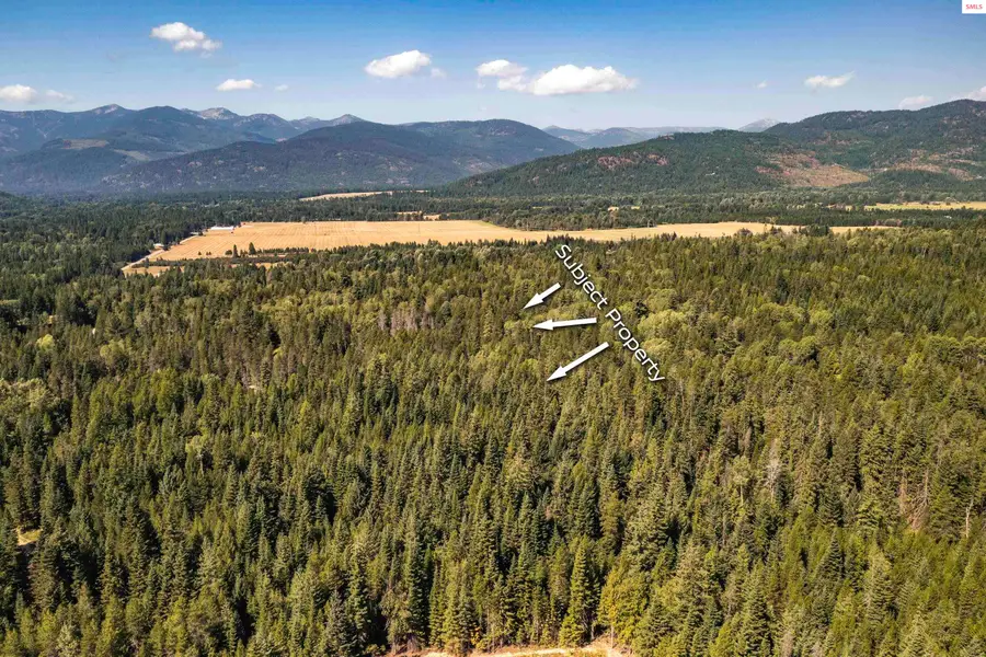 NNA Ridge Way, Sandpoint, ID 83864 - #2