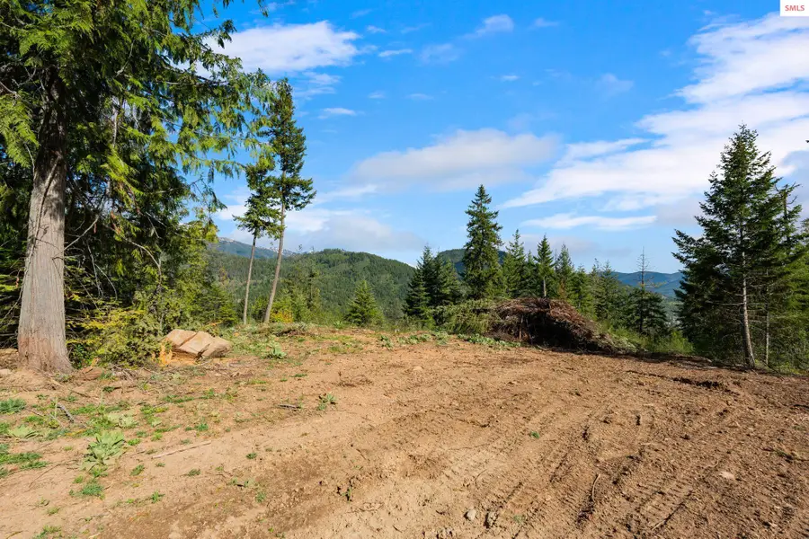 NKA Majestic Mountain Rd, Clark Fork, ID 83811 - #3