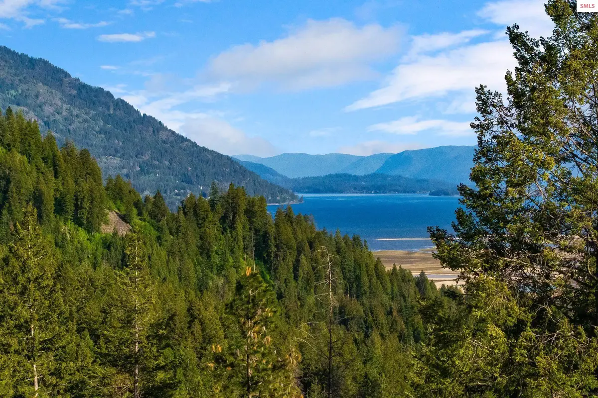 D11 White Cloud Drive, Sandpoint, ID 83864 - #1