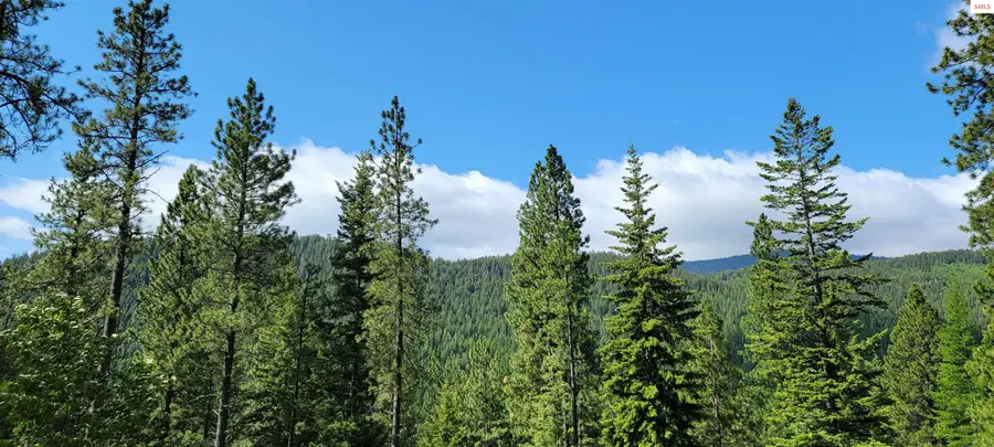 NNA Snowcat Lane Tract 2, Bonners Ferry, ID 83805 - #2
