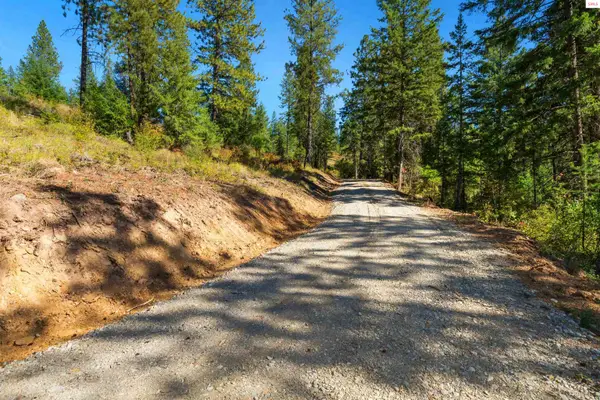 NKA Stone Rd Lot 5 (20 Acres), Blanchard, ID 83804