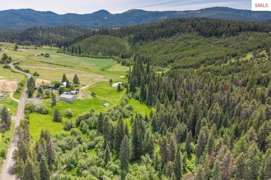 1035 (A) Davis Road, Viola, ID 83872 - #2