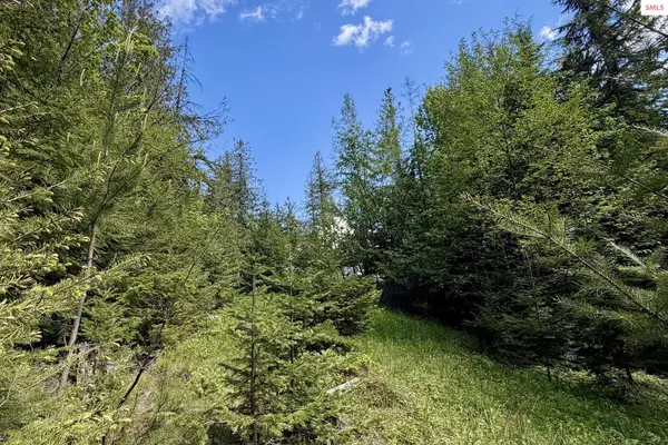 NNA Lot 4 Silver Reef Road, Sagle, ID 83860