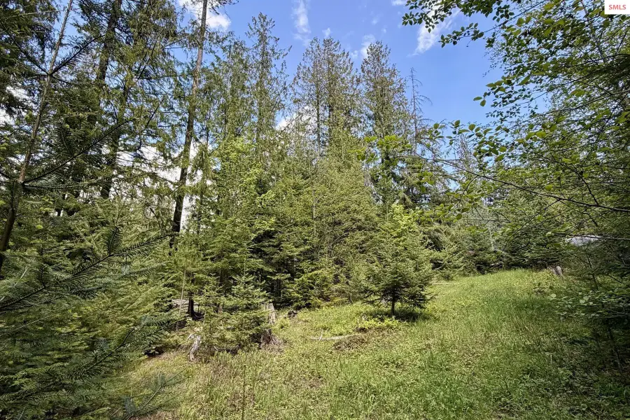 NNA Lot 4 Silver Reef Road, Sagle, ID 83860 - #2