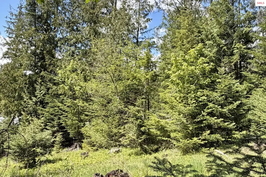 NNA Lot 4 Silver Reef Road, Sagle, ID 83860 - #3