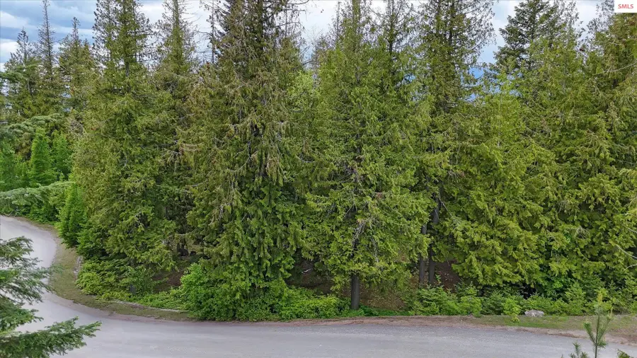 Lot C19 Trappers Loop, Sandpoint, ID 83864 - #2