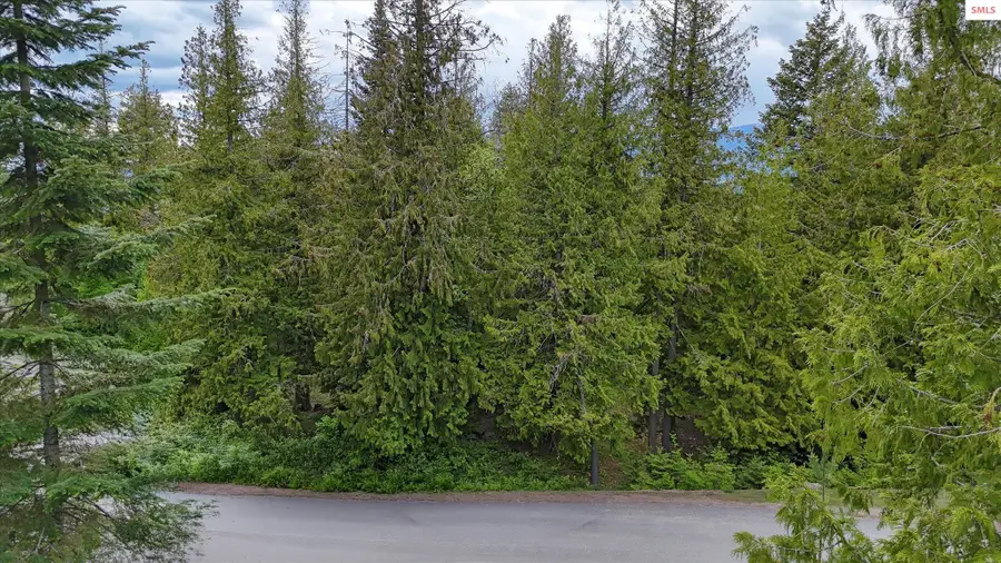 Lot C19 Trappers Loop, Sandpoint, ID 83864 - #3