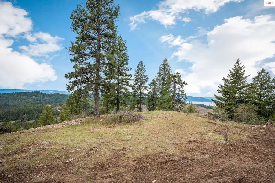 NNA   D10 S White Cloud Drive, Sandpoint, ID 83864 - #3