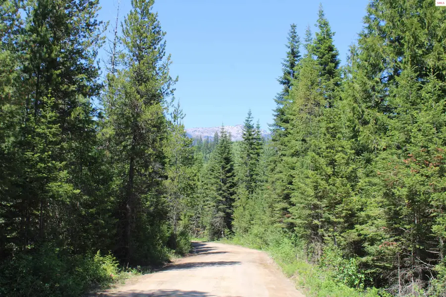 346 Old Range Road, Clark Fork, ID 83811 - #2