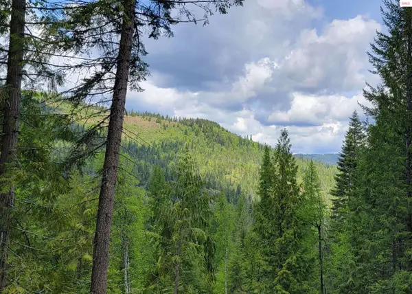 NNA Pup Paw Trail, Priest River, ID 83856