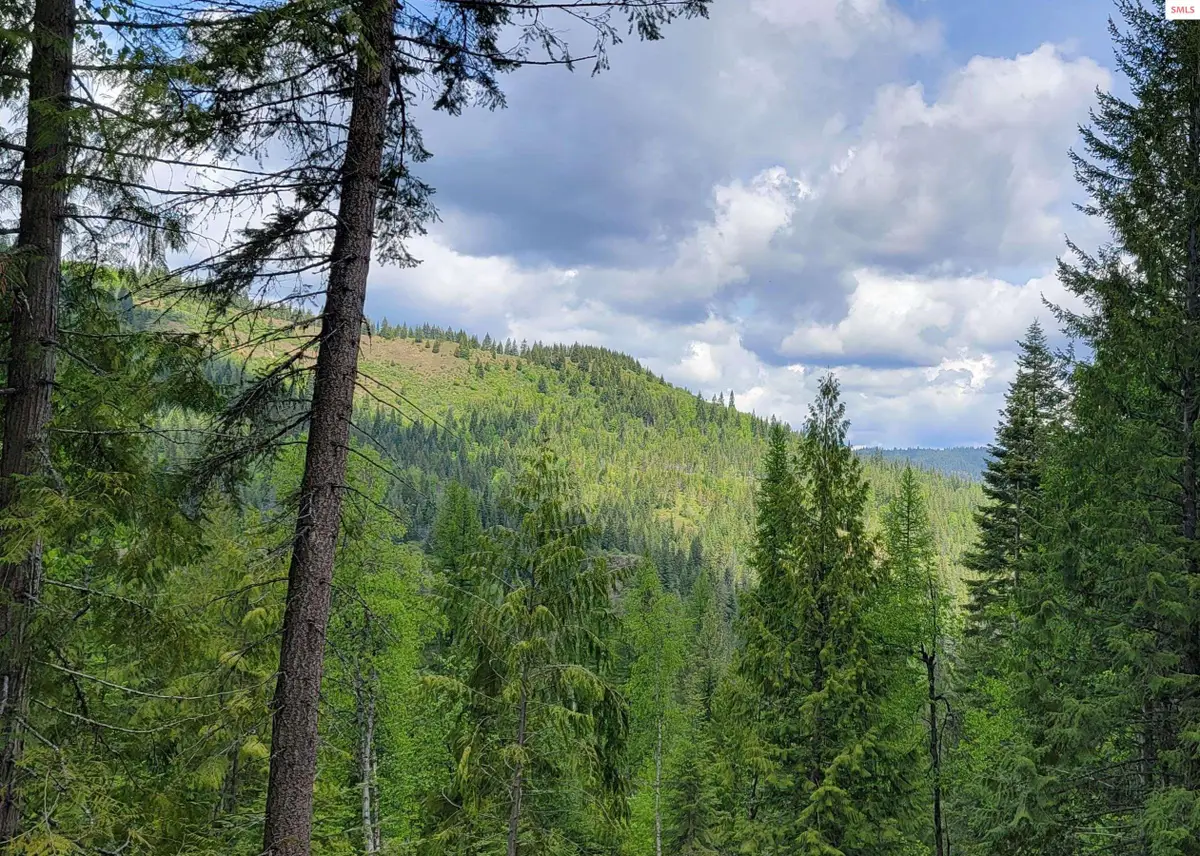 NNA Pup Paw Trail - South Parcel, Priest River, ID 83856 - #1