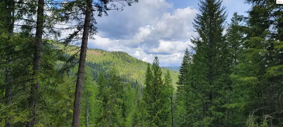 NNA Pup Paw Trail - South Parcel, Priest River, ID 83856 - #3