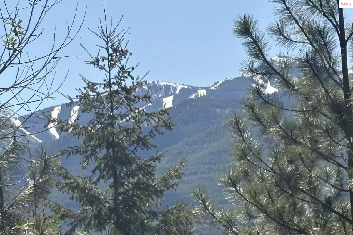 1985 (20A) South Fork Ridge Rd, Smelterville, ID 83868 - #1