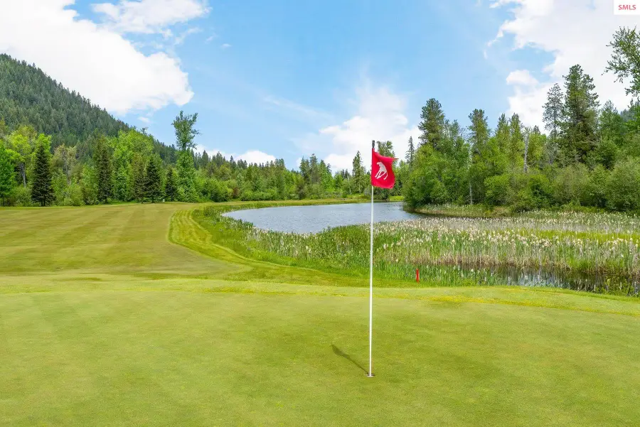 32 Double Barrel, Sandpoint, ID 83864 - #3