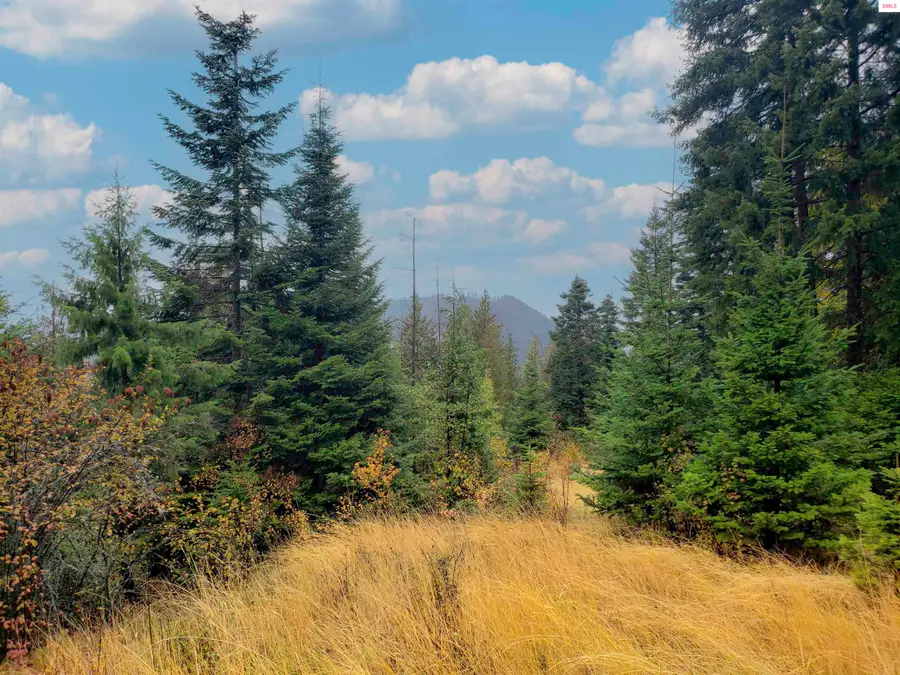 NKA White Cloud Dr, Sandpoint, ID 83864 - #2