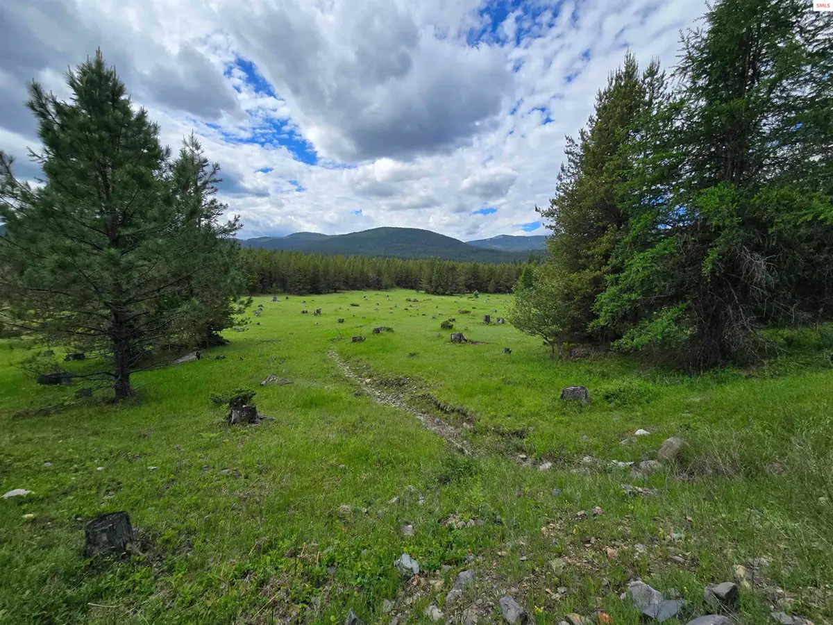 TBD Yaak River Rd, Yaak, MT 59935 - #1