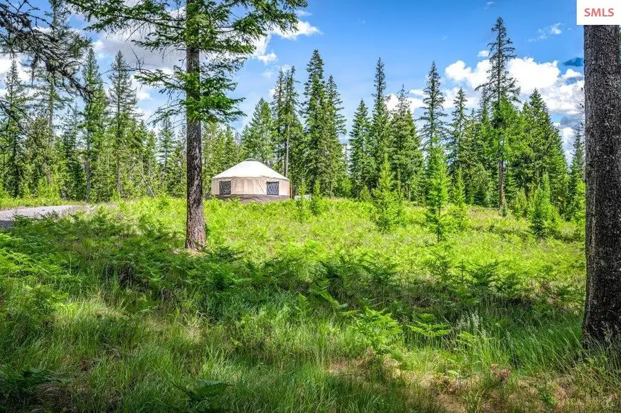 317 Treetop Bluff Ln, Bonners Ferry, ID 83805 - #3