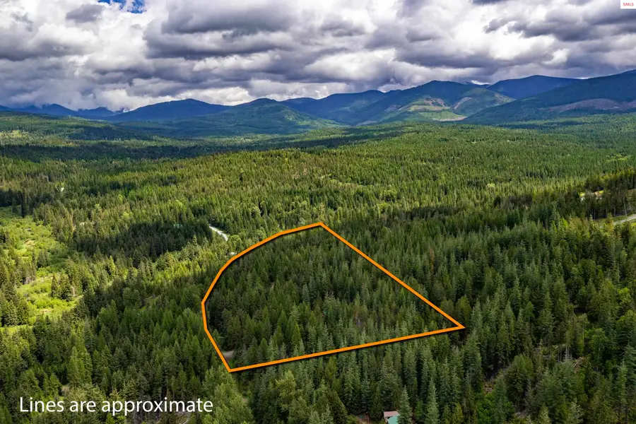 40 Laid Back Drive, Sandpoint, ID 83864 - #3