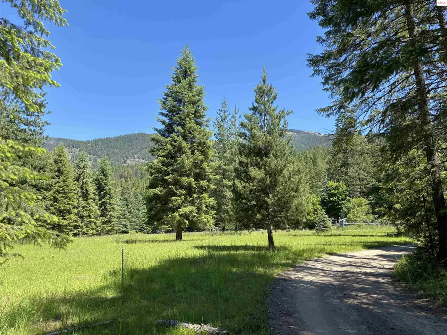 2216 Mosquito Creek Rd., Clark Fork, ID 83811 - #2