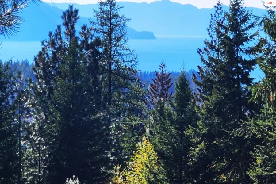NKA Enchanted Forest Ln (lot 3), Hope, ID 83836 - #2