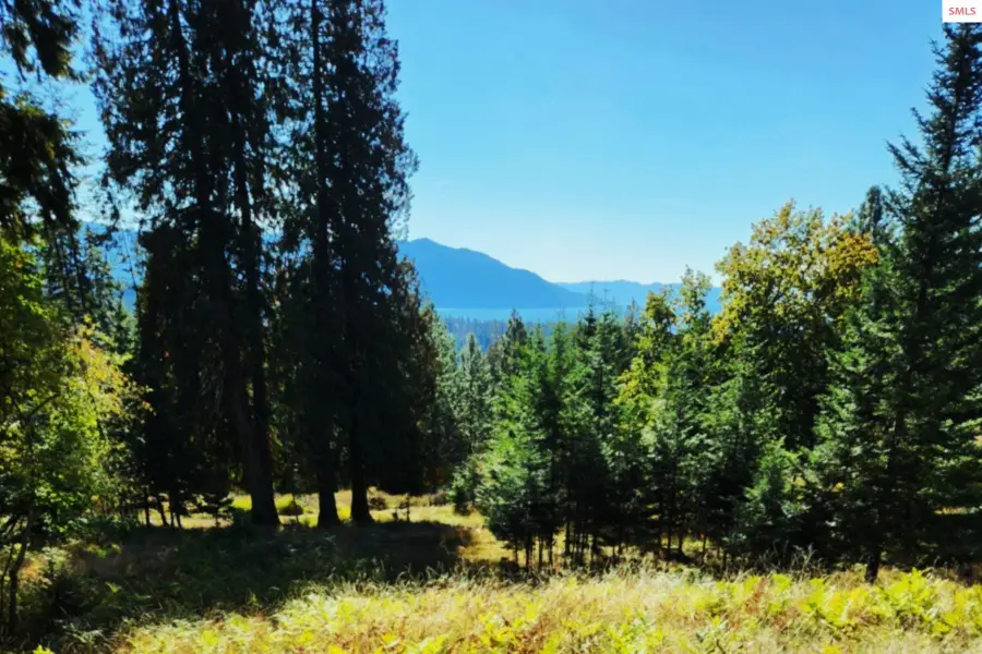 NKA Enchanted Forest Ln (lot 3), Hope, ID 83836 - #3