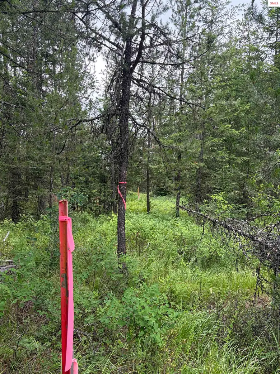 NNA Adams, Spirit Lake, ID 83869 - #3