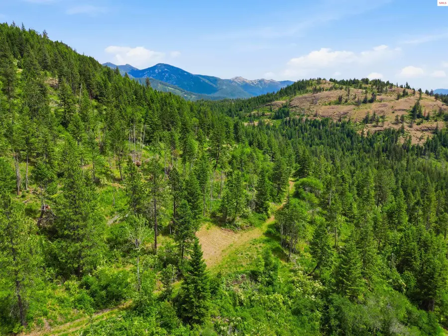 1010 Mcquade Gulch Rd, Clark Fork, ID 83811 - #3